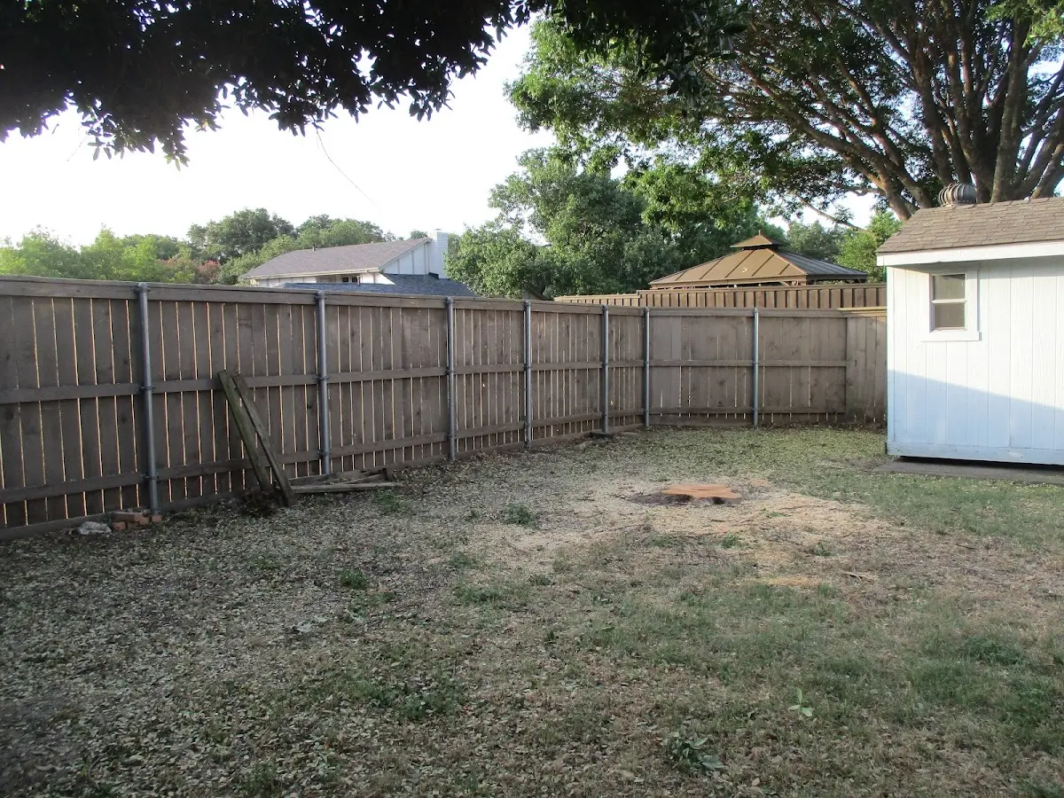 Cleared yard after professional tree removal in Walthourville